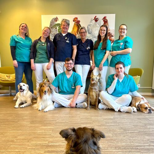 Tierarztpraxis Dr. von Manteuffel GmbH - unsere Vision